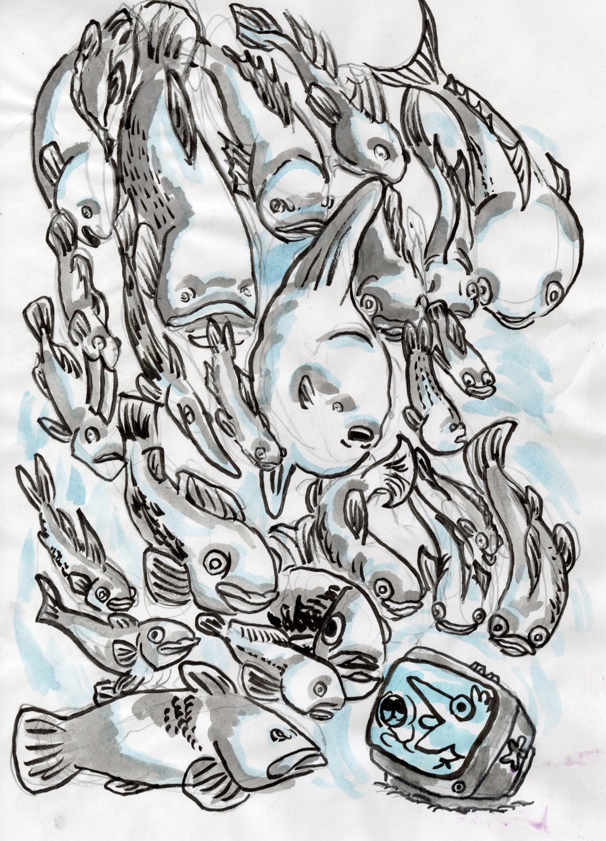 - Quoi de neuf dans le benthos ?- page 7