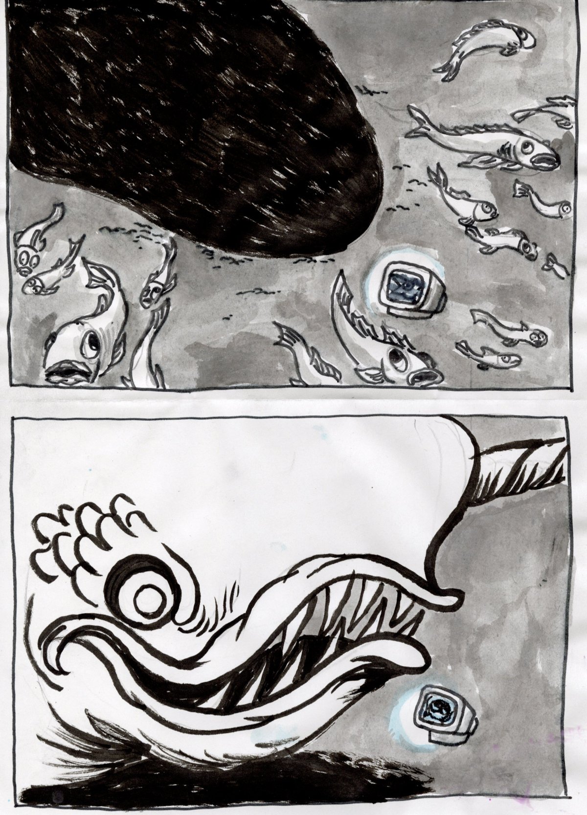 - Quoi de neuf dans le benthos ?- page 9