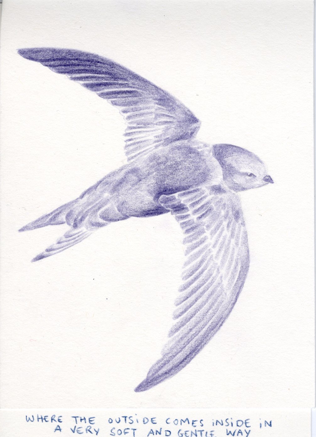 - Camera obscura- page 8