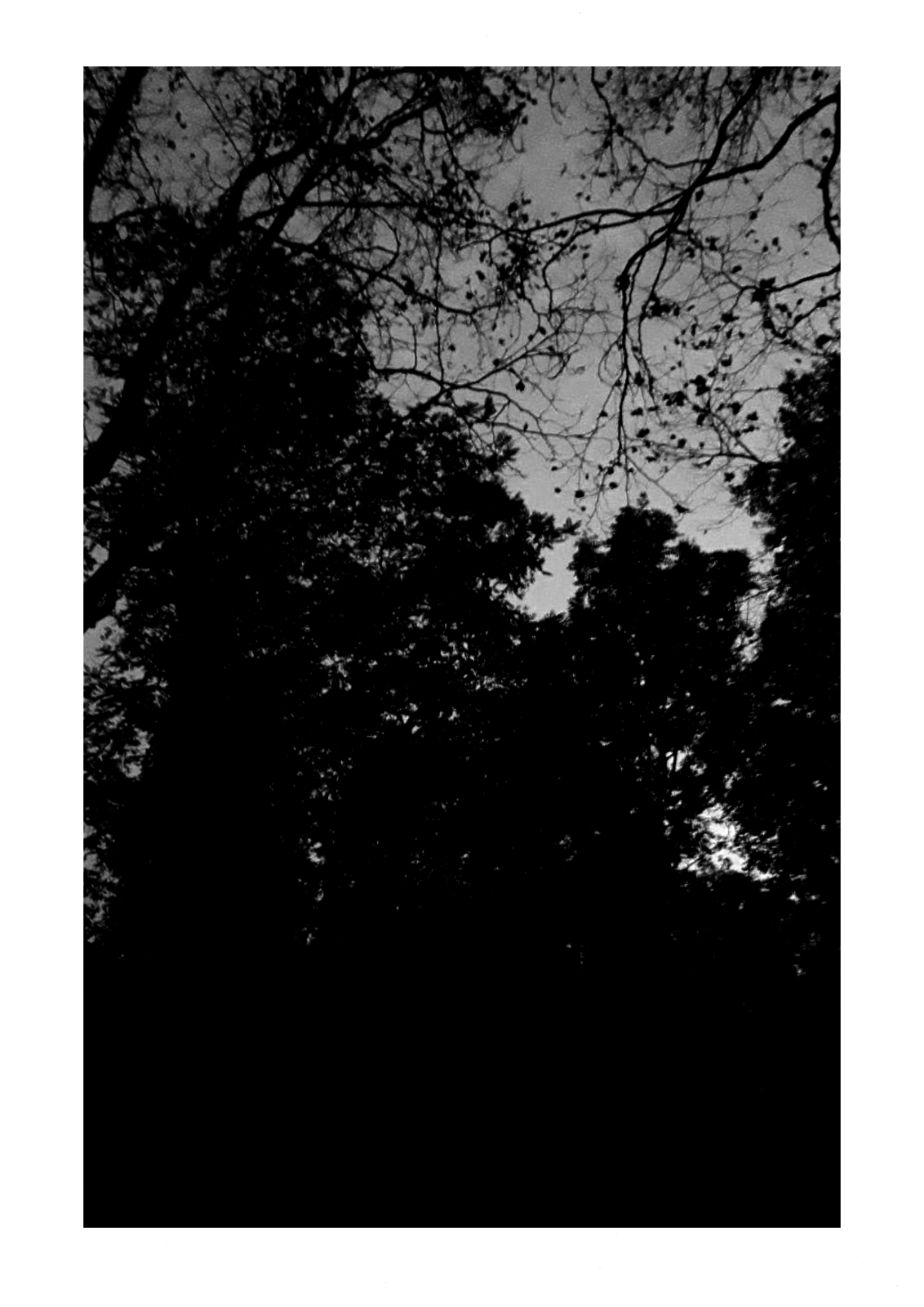 - Black Angels- page 9