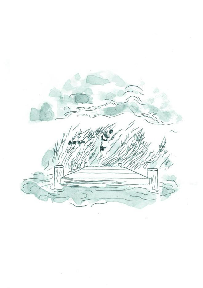 - éclosion- page 31