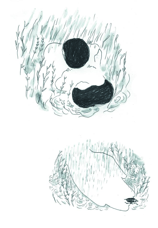 - éclosion- page 45