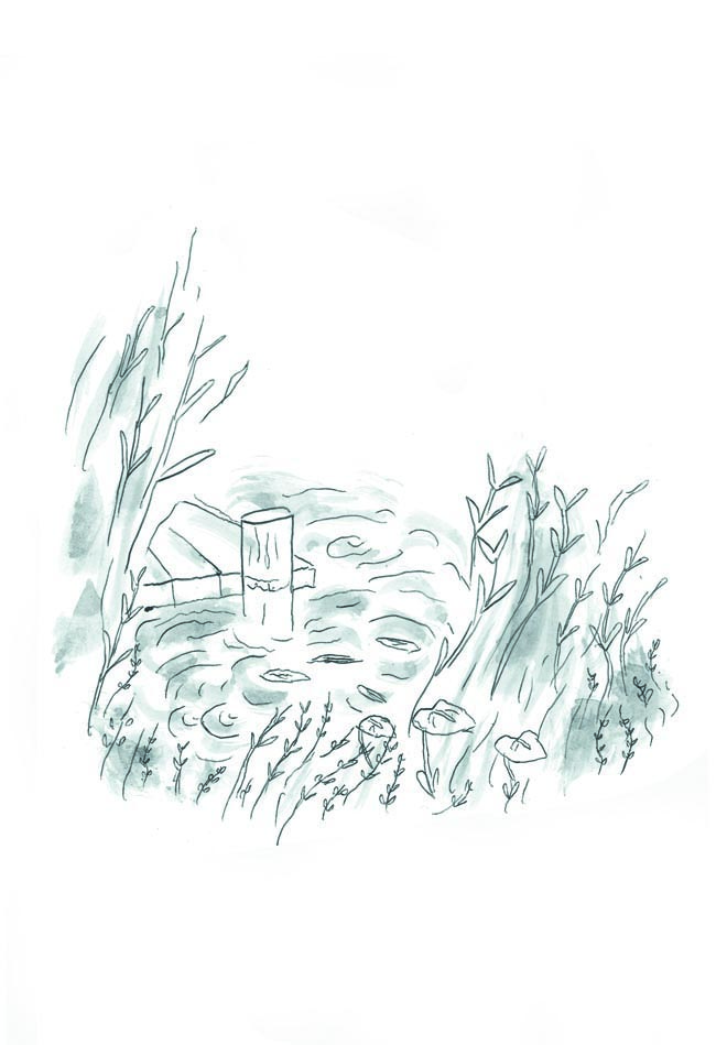 - éclosion- page 48