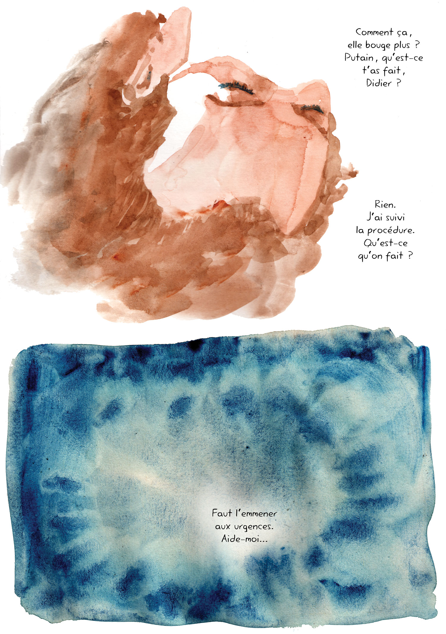 - J'aurais voulu...- page 16