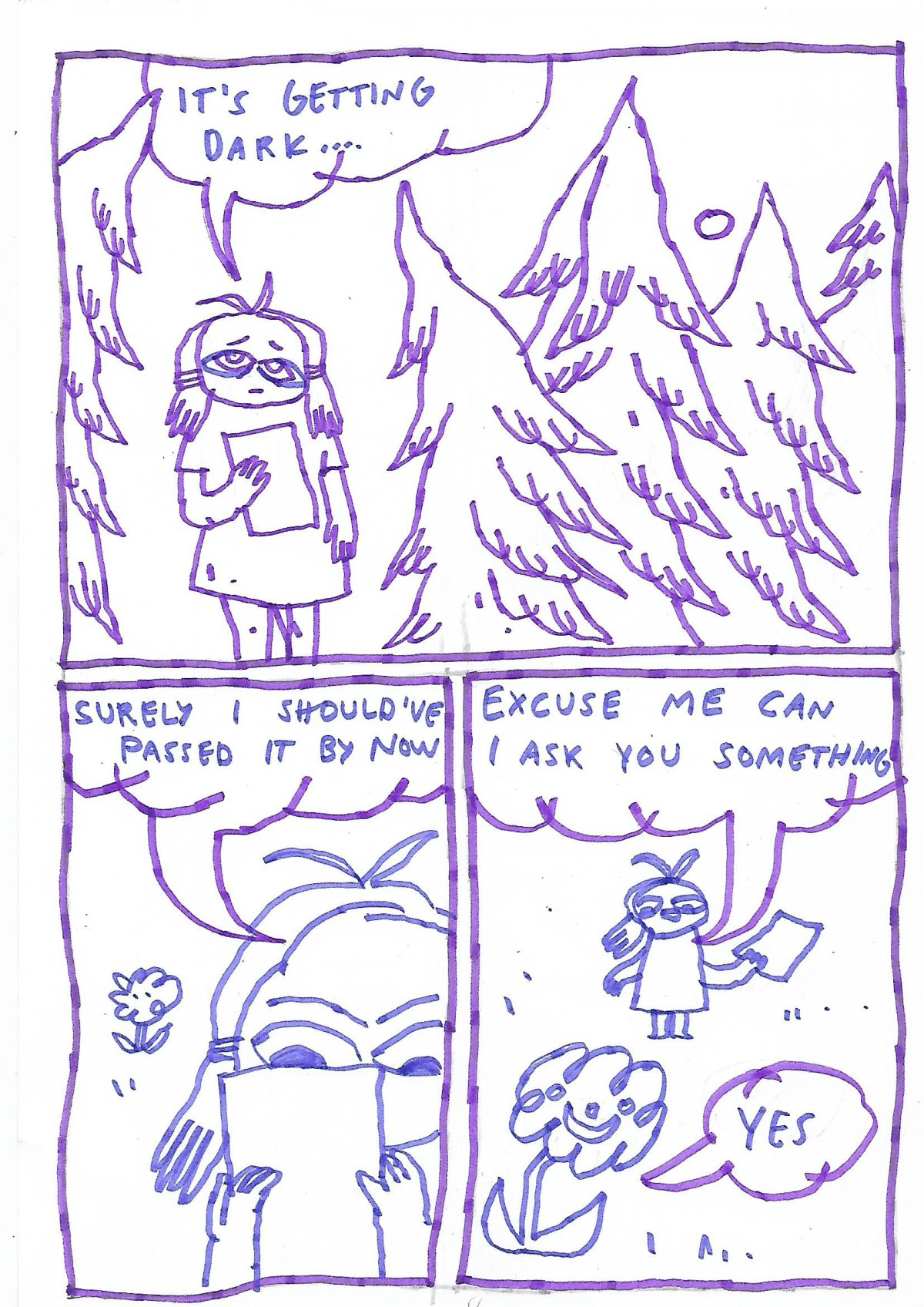 - A walk in the local forest 2- page 8