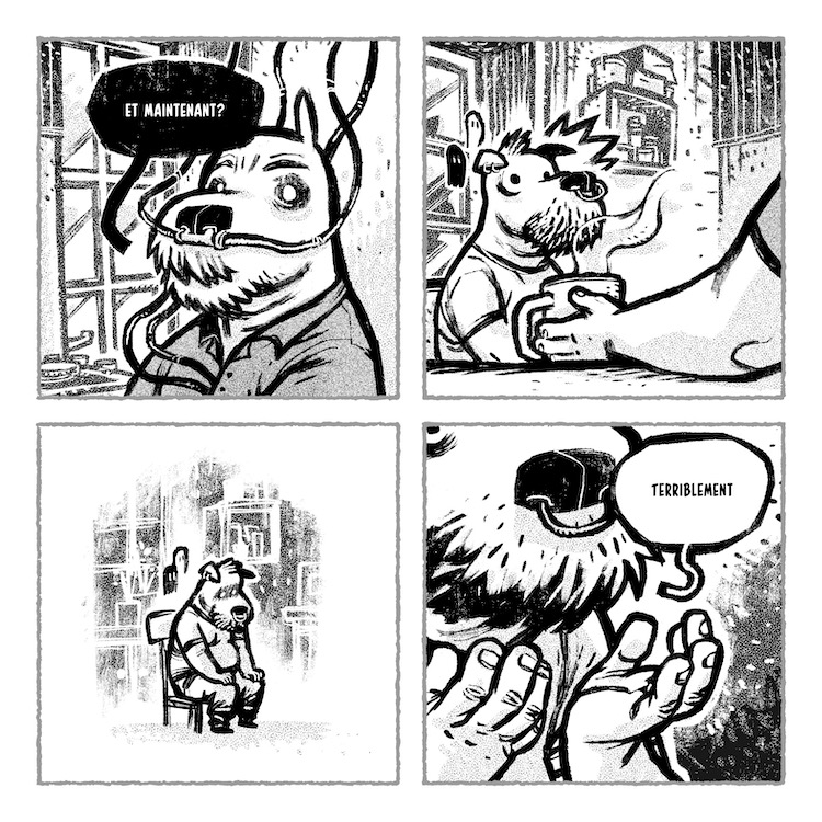 - L'Allée des Buffles- page 8