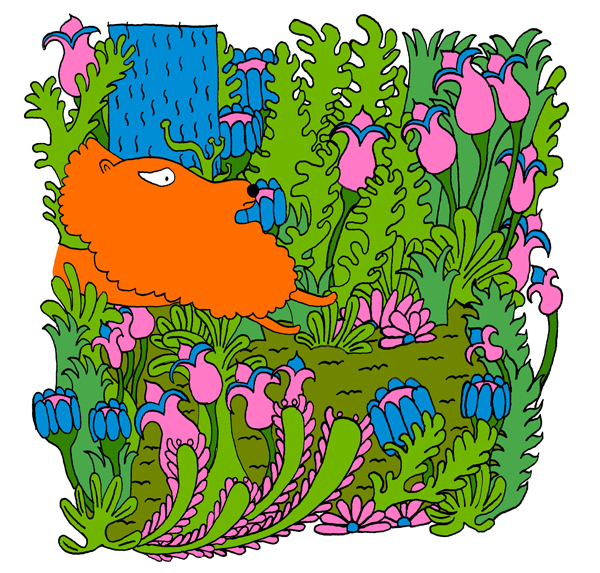 - La diversité des bêtes- page 7