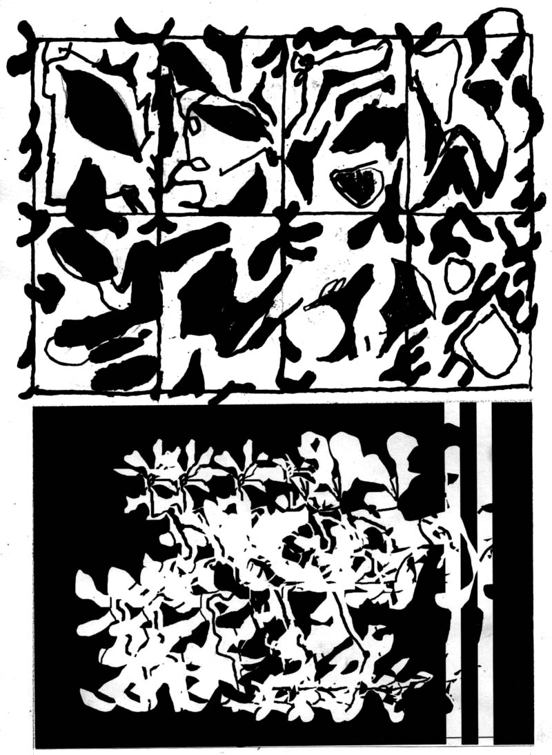 - Convois curieux- page 13