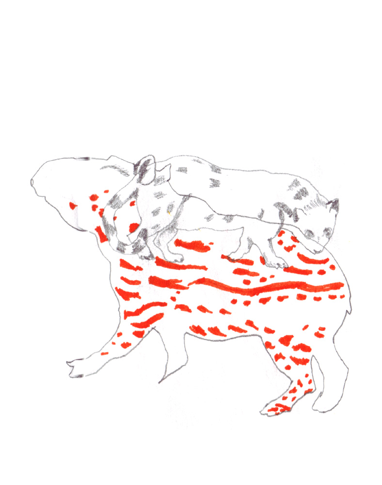 - ZoZiothérapy- page 11