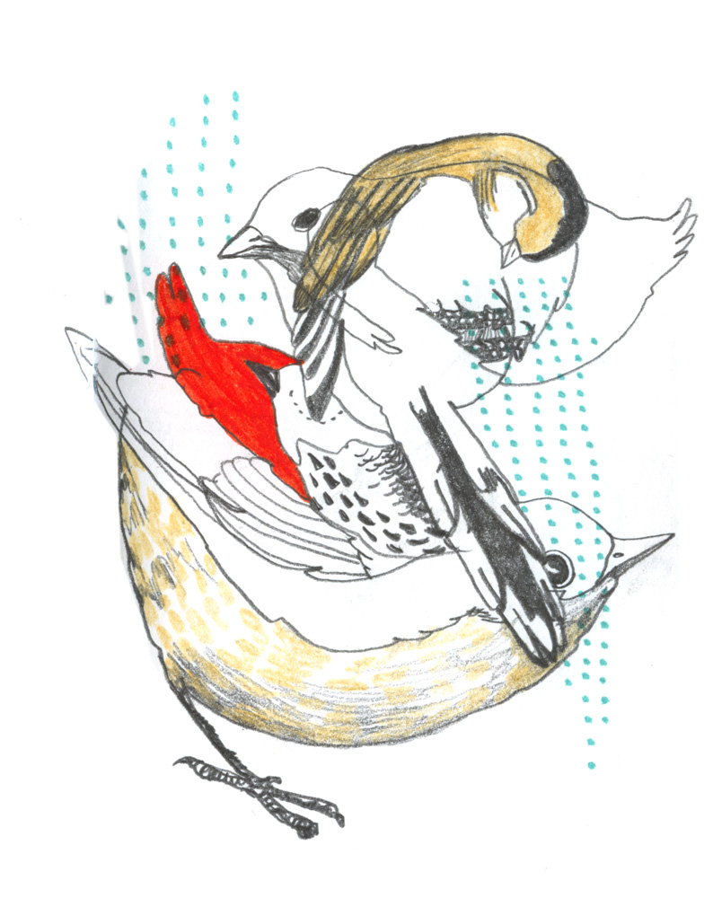 - ZoZiothérapy- page 27