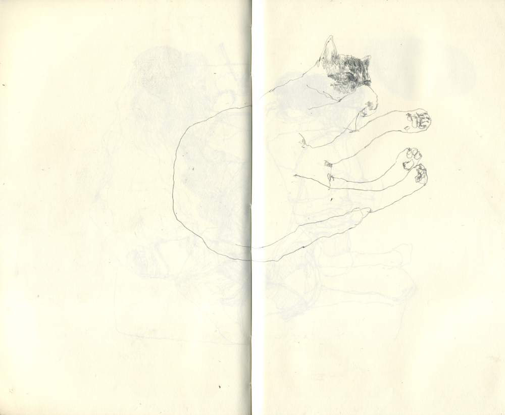 - UNE CHOUETTE- page 39