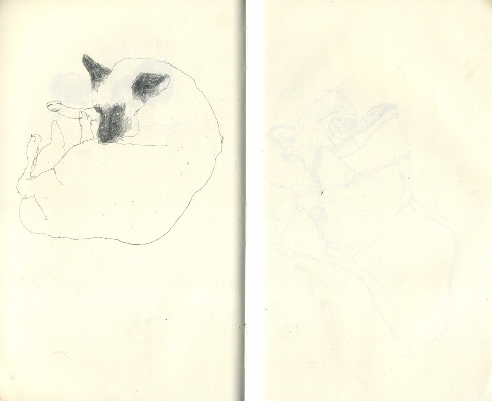 - UNE CHOUETTE- page 75