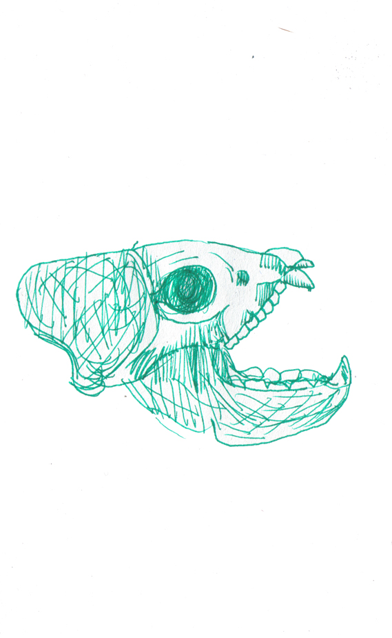 - Momentis- page 215