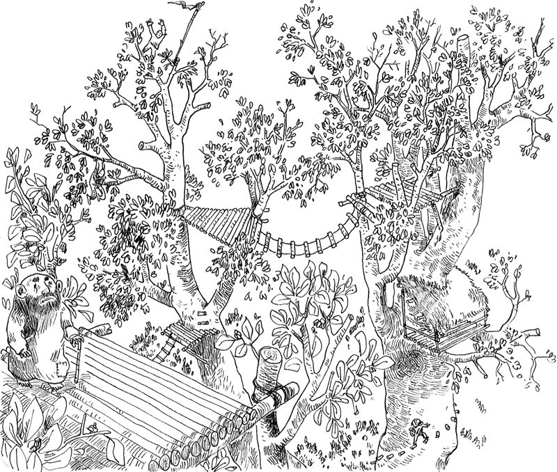 - Le monde de l'arbre- page 2