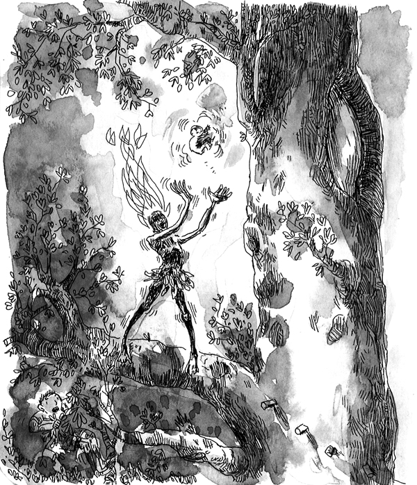 - Le monde de l'arbre- page 9