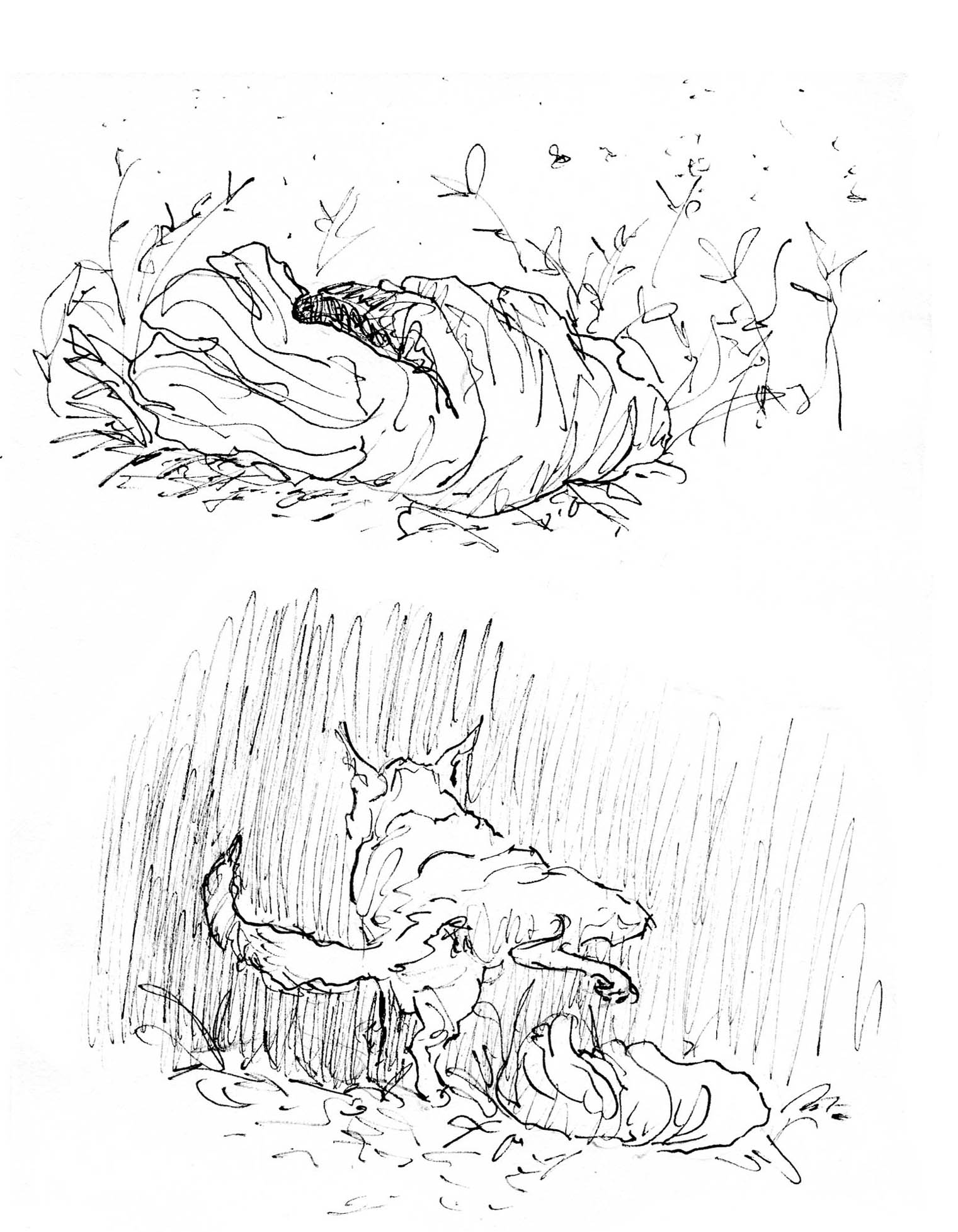 - J>>C (Jean-Christophe)- page 7