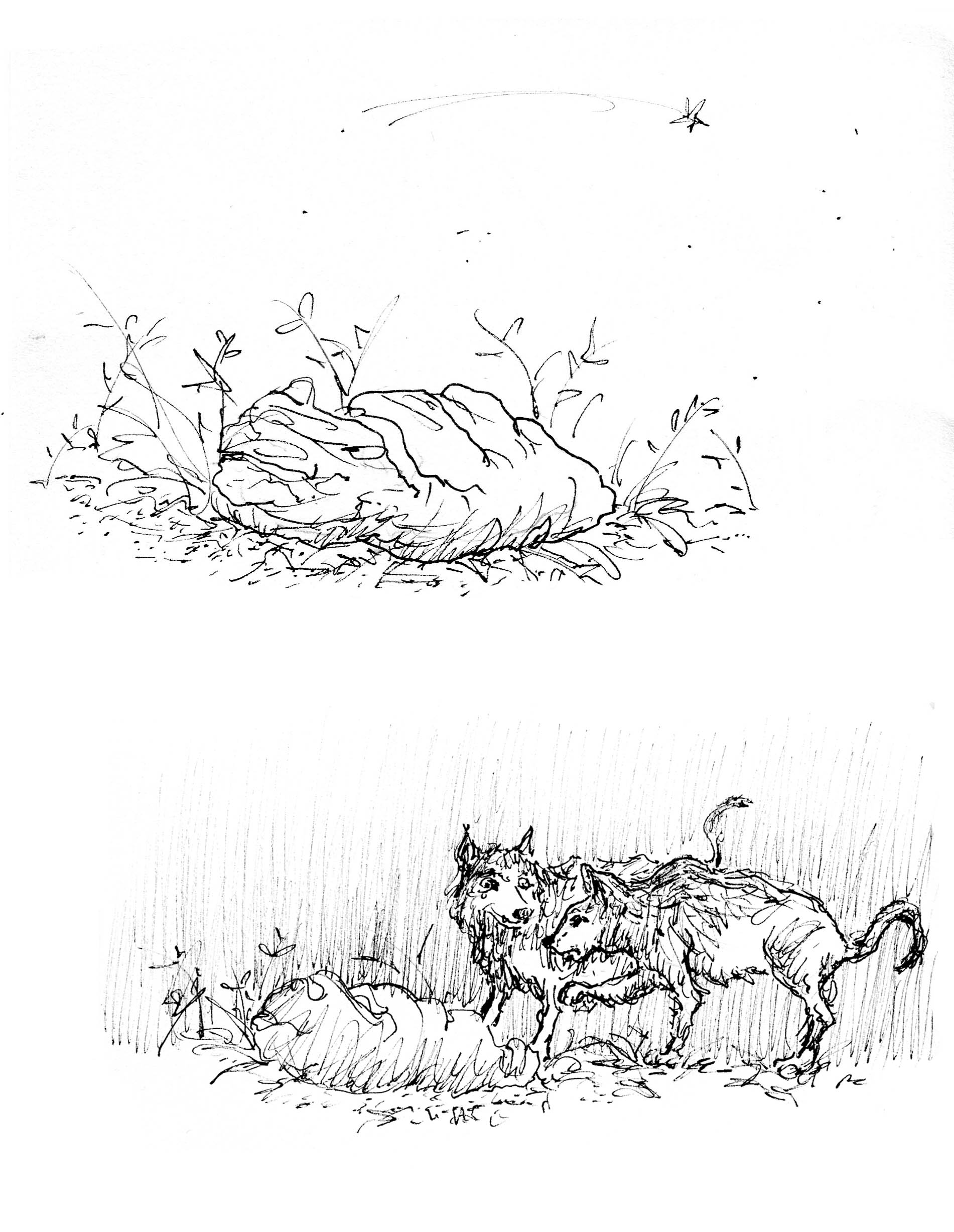 - J>>C (Jean-Christophe)- page 9