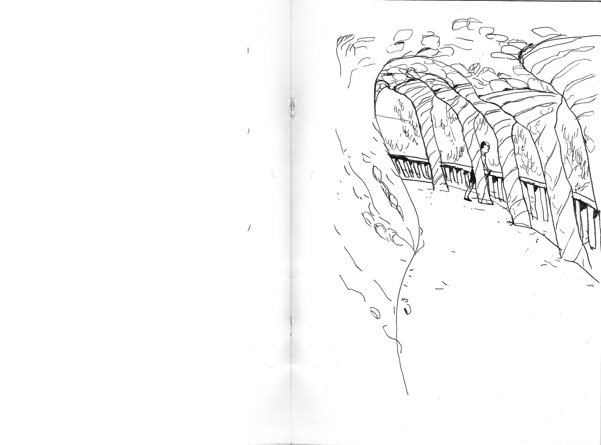 - la rambla palmier • carnets- page 10