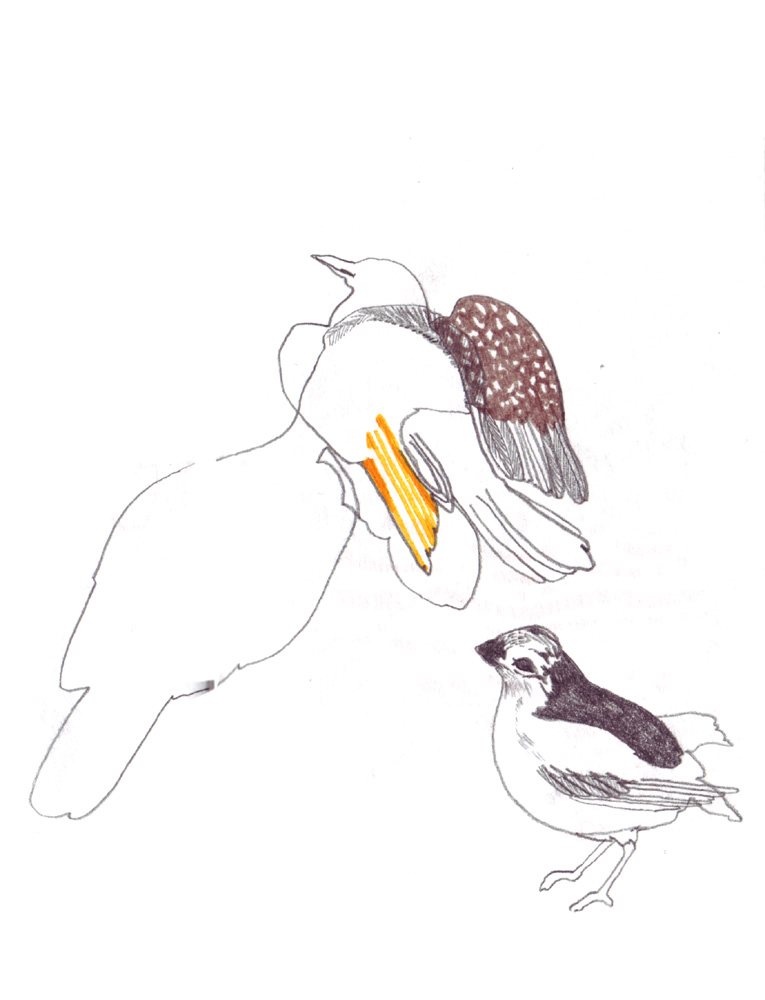 - ZoZiothérapy- page 4