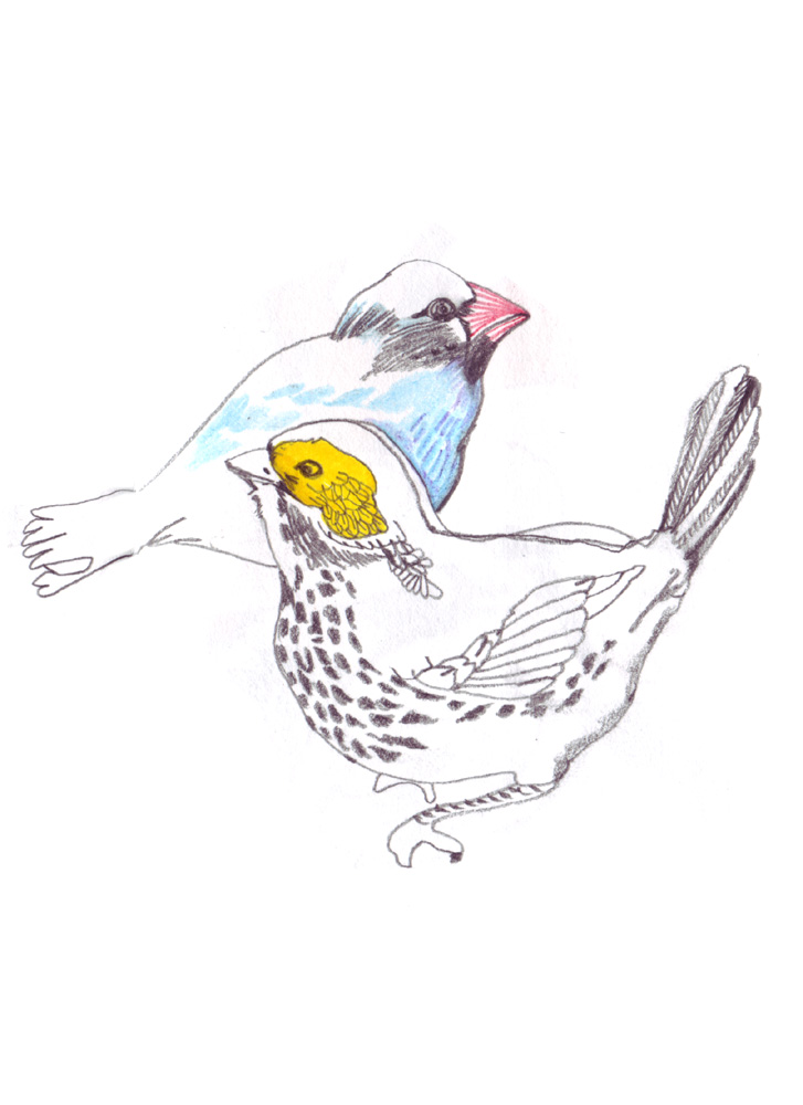 - ZoZiothérapy- page 12