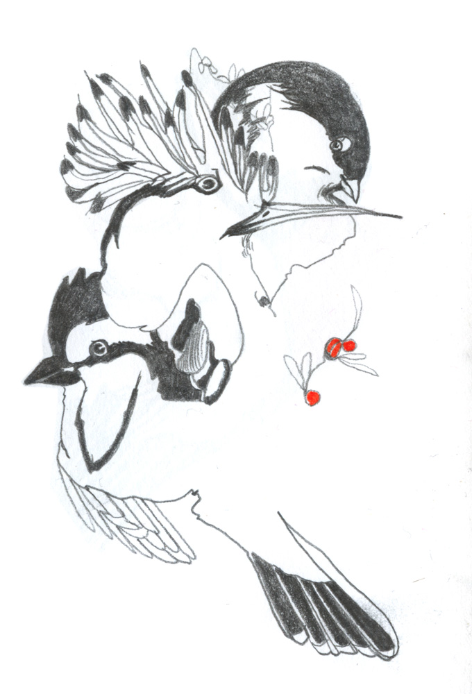 - ZoZiothérapy- page 13