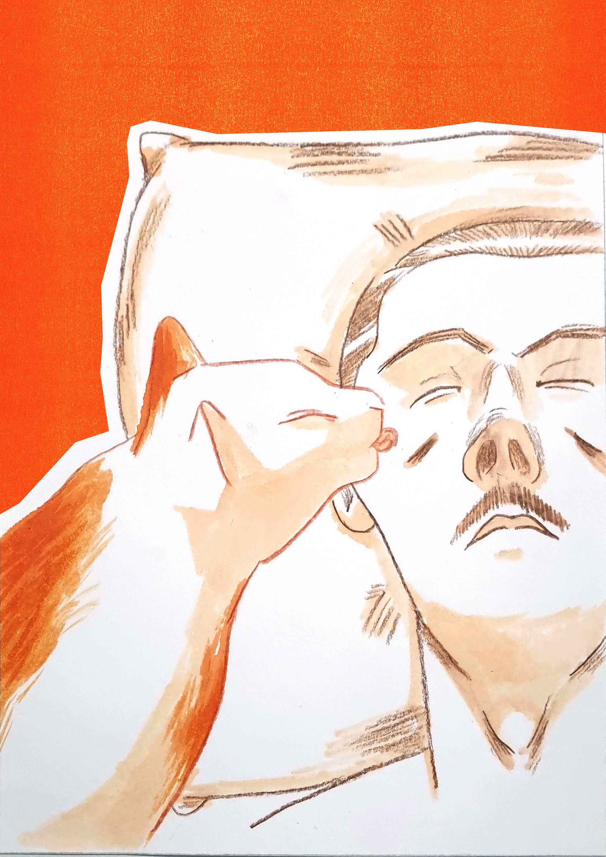 - Prédateurs- page 13