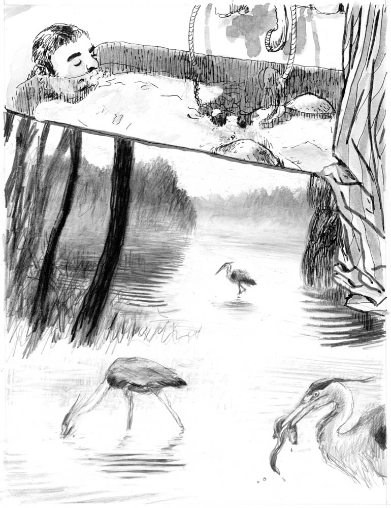 - ACCIDENTS- page 16