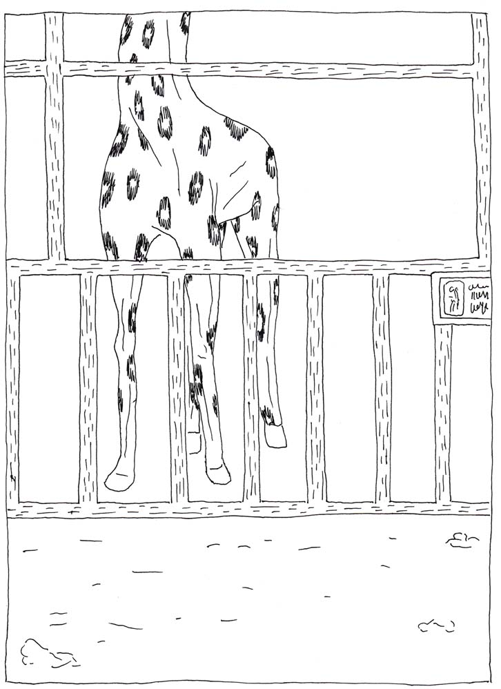 - Viande et substitut- page 10