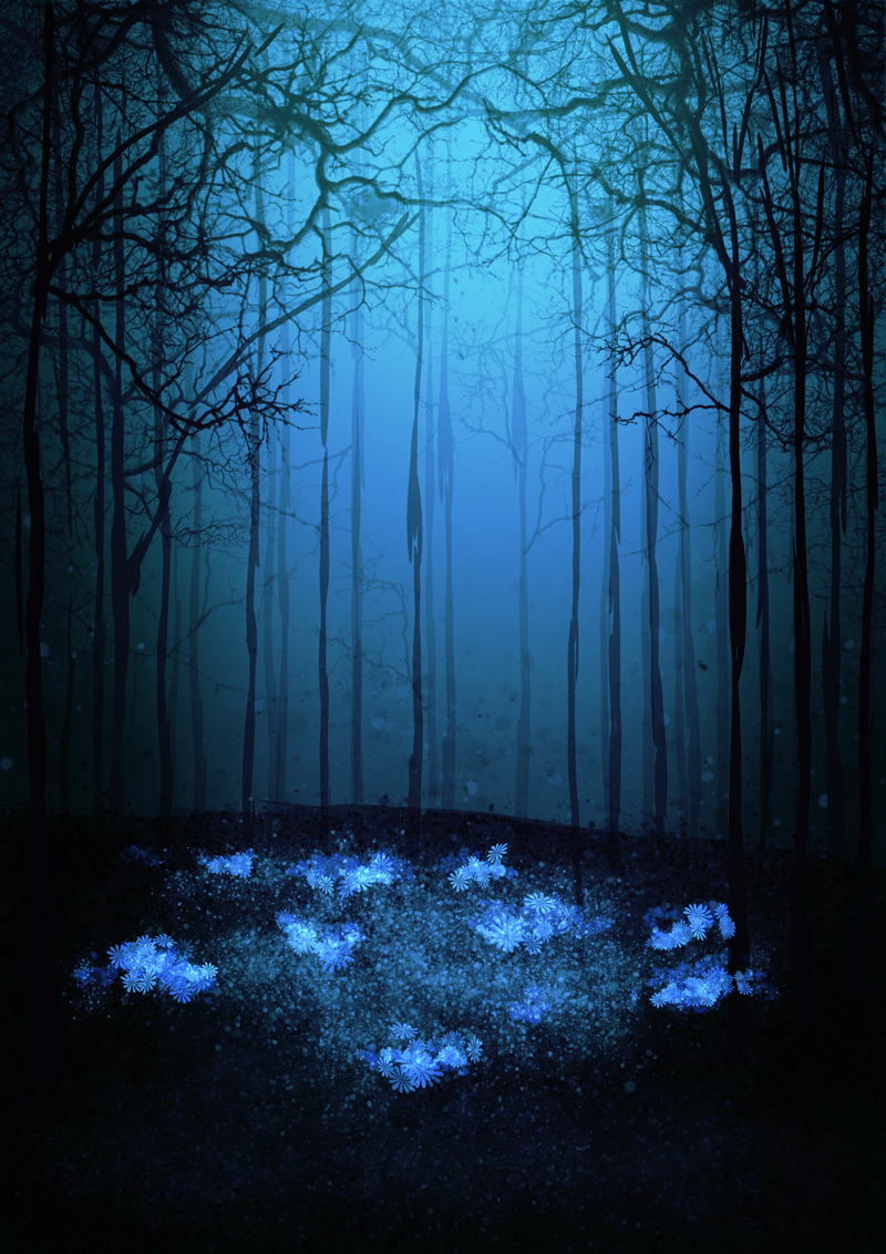 - Where am I ?- page 15