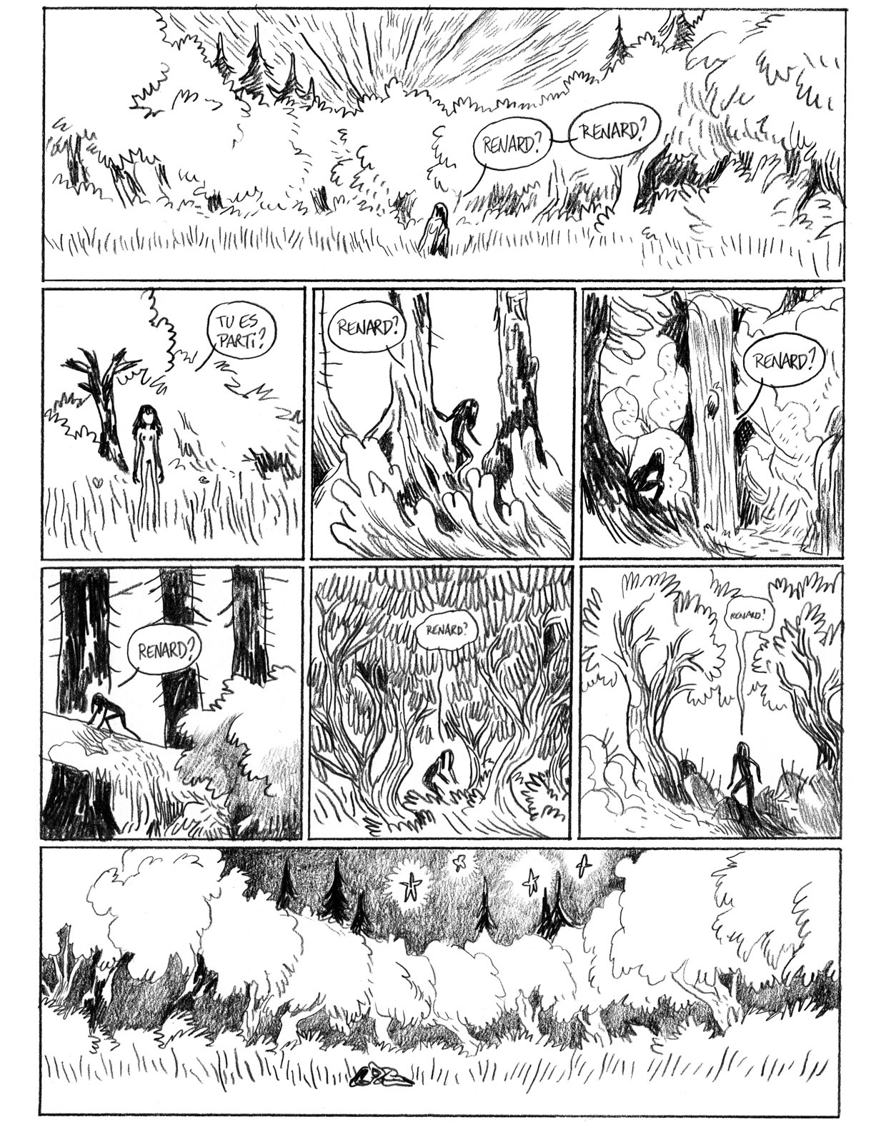 - Sauvage, ou la sagesse des pierres.- page 171