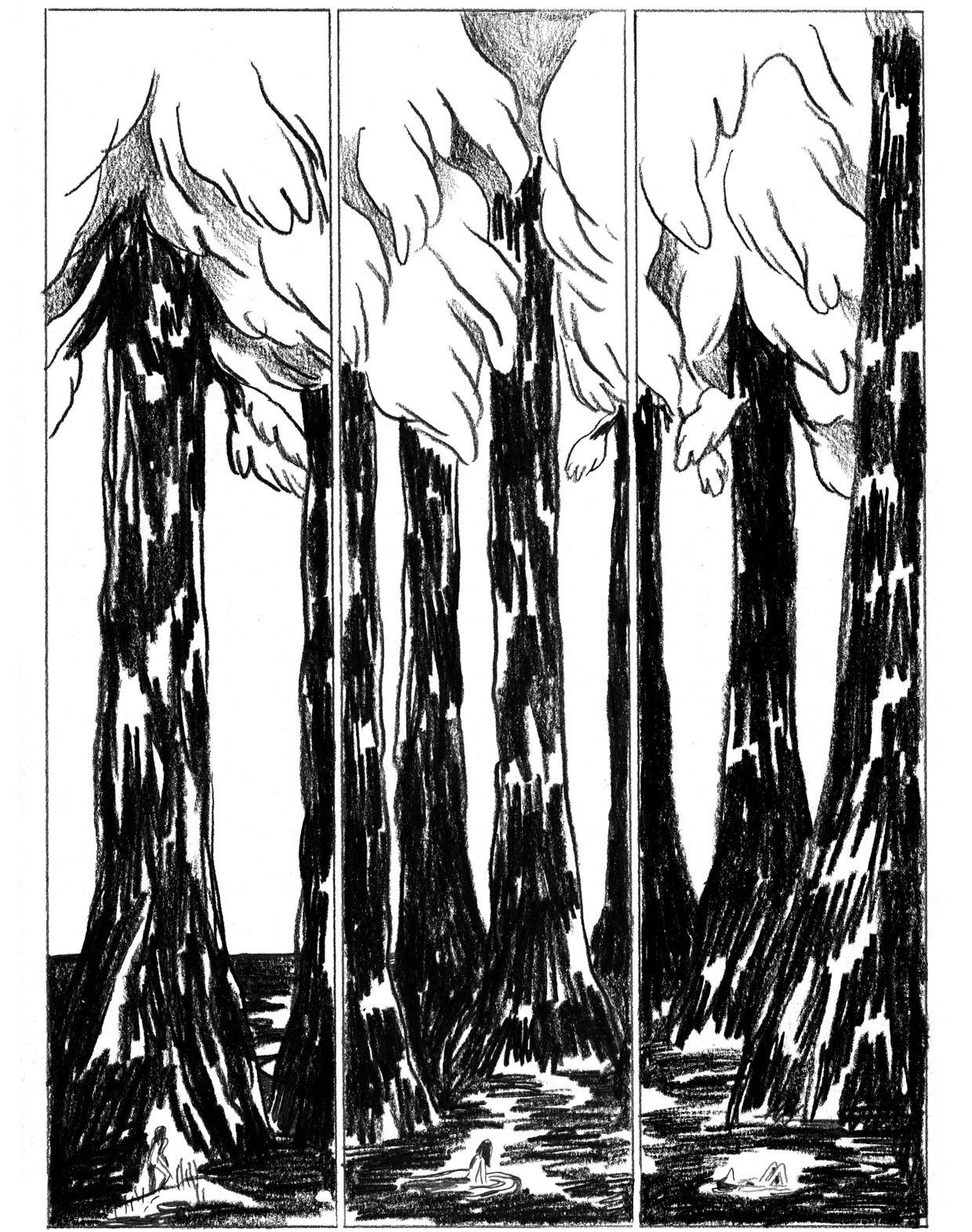 - Sauvage, ou la sagesse des pierres.- page 177