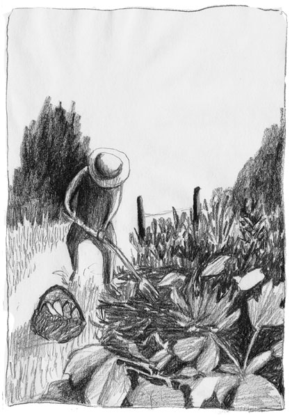 - La main verte- page 1