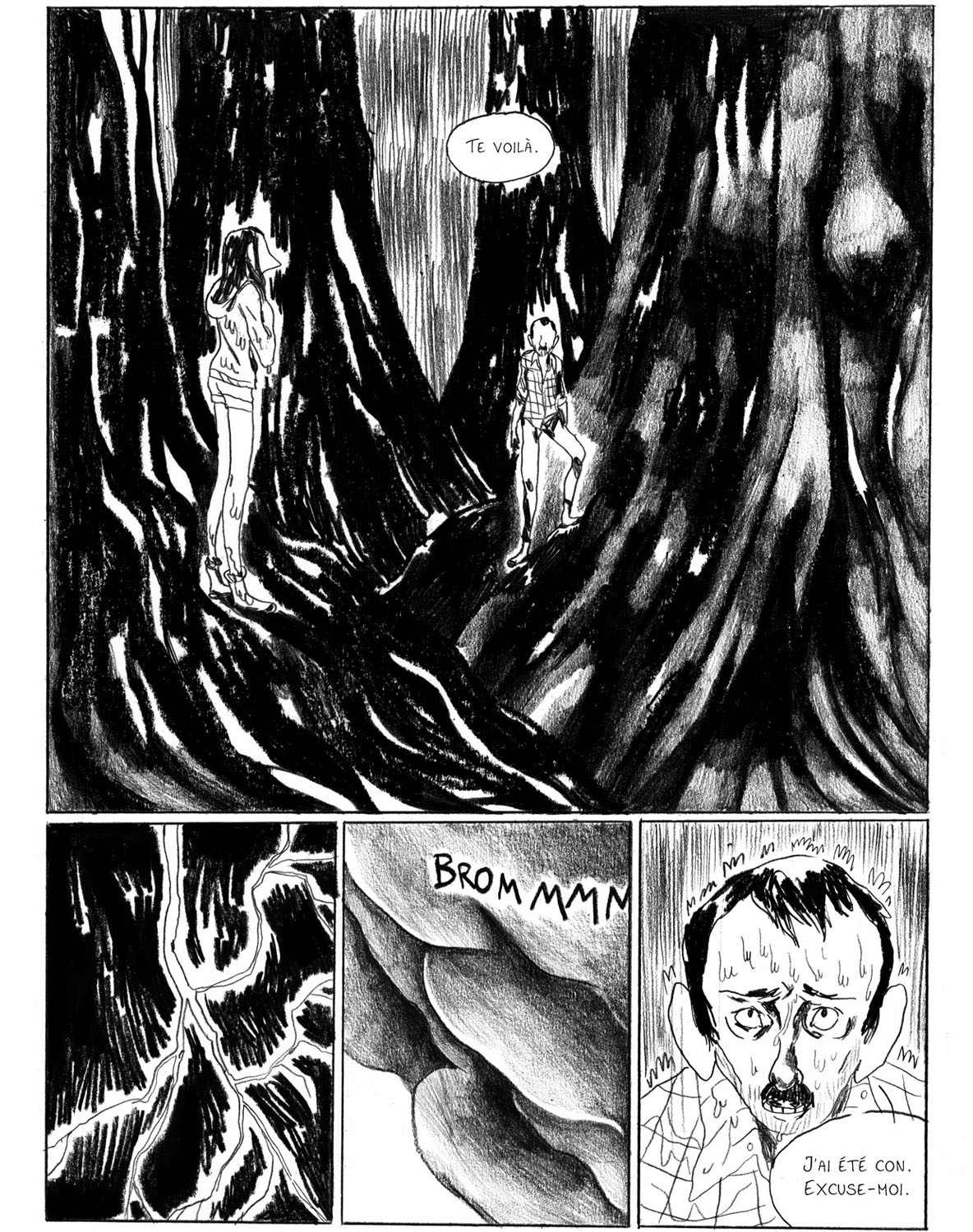 - Sauvage, ou la sagesse des pierres.- page 47