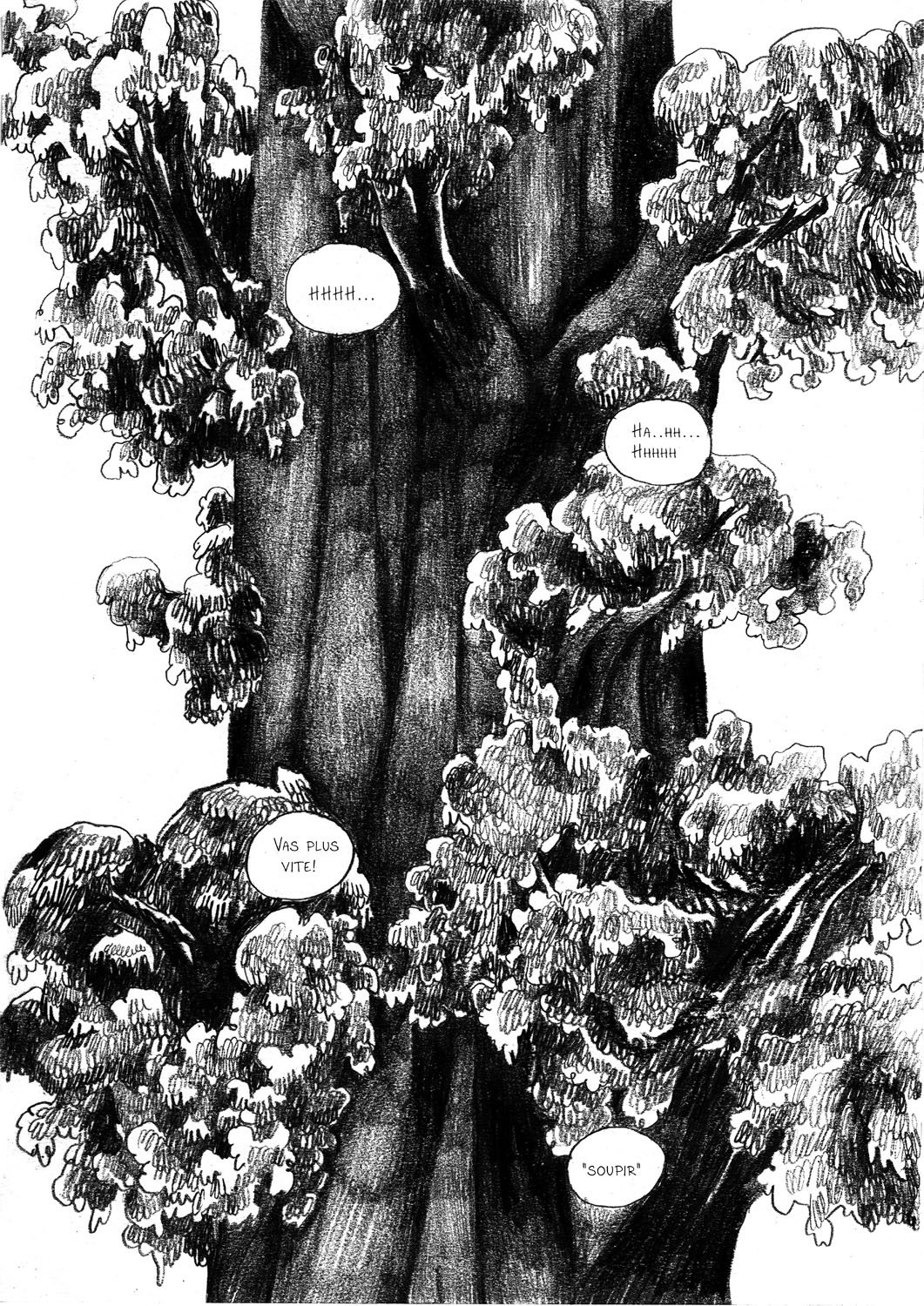 - Sauvage, ou la sagesse des pierres.- page 58