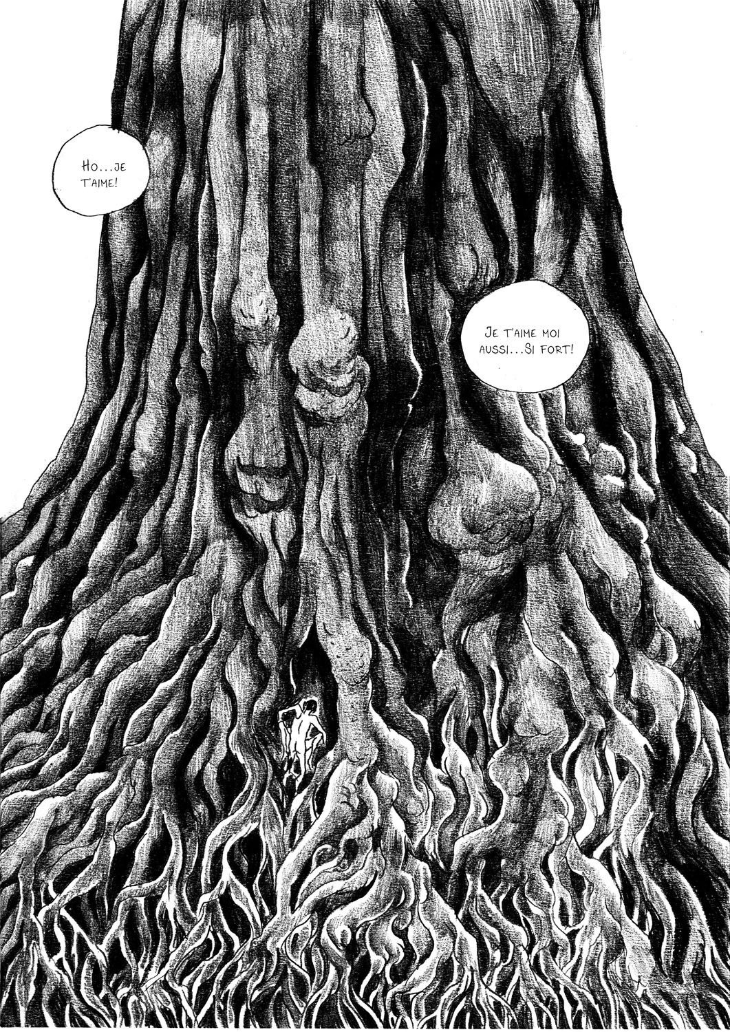 - Sauvage, ou la sagesse des pierres.- page 61