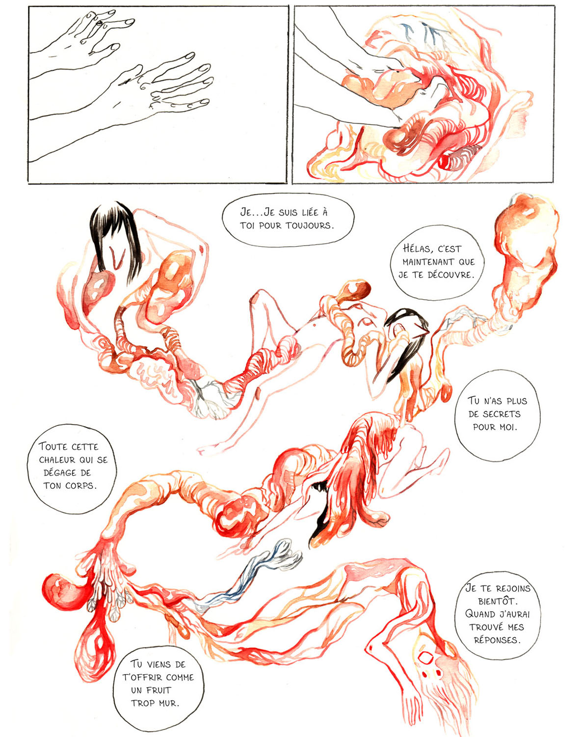 - Sauvage, ou la sagesse des pierres.- page 78