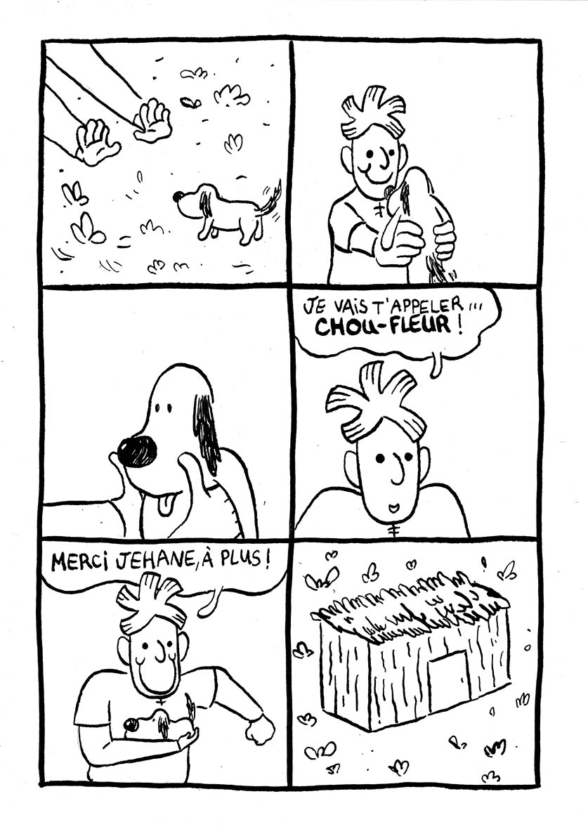 - ORIGAN adopte CHOU-FLEUR- page 8