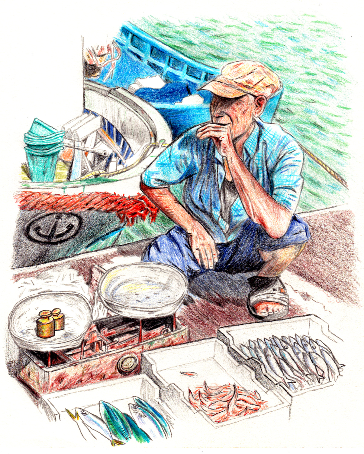 - Illustrations- page 5