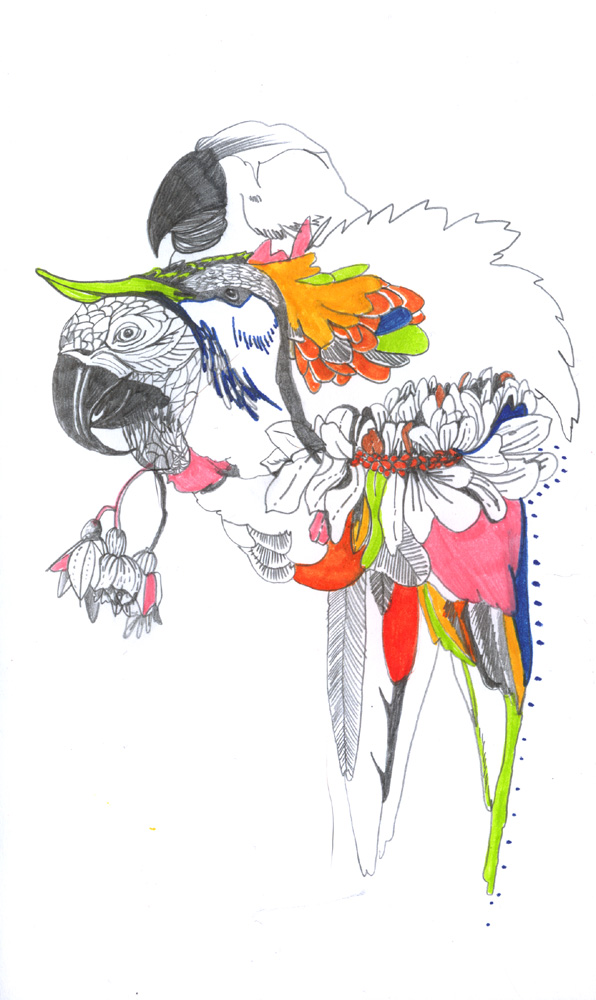 - ZoZiothérapy- page 49