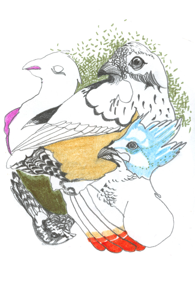 - ZoZiothérapy- page 33