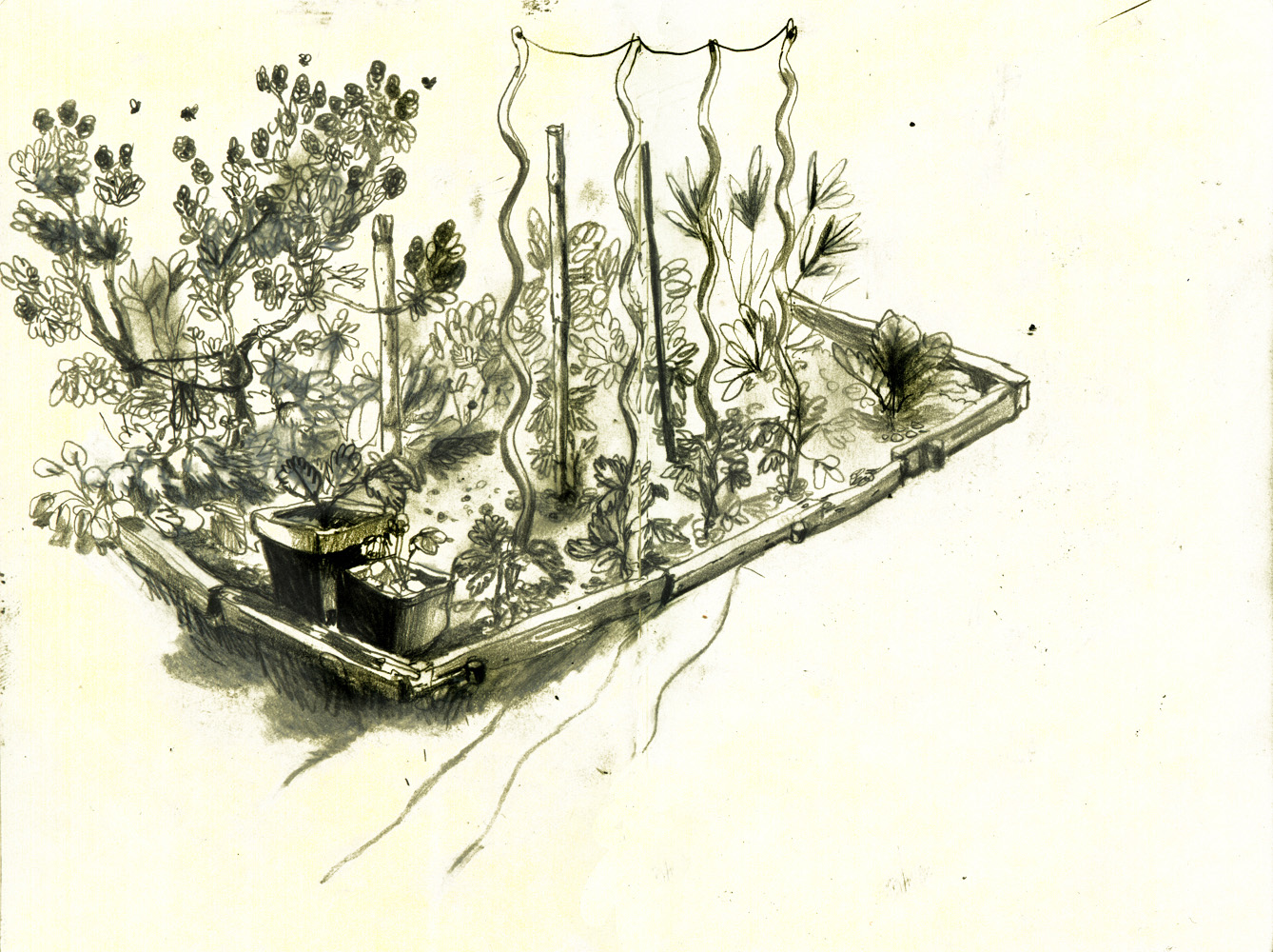 - ÉLODÉE - page 10