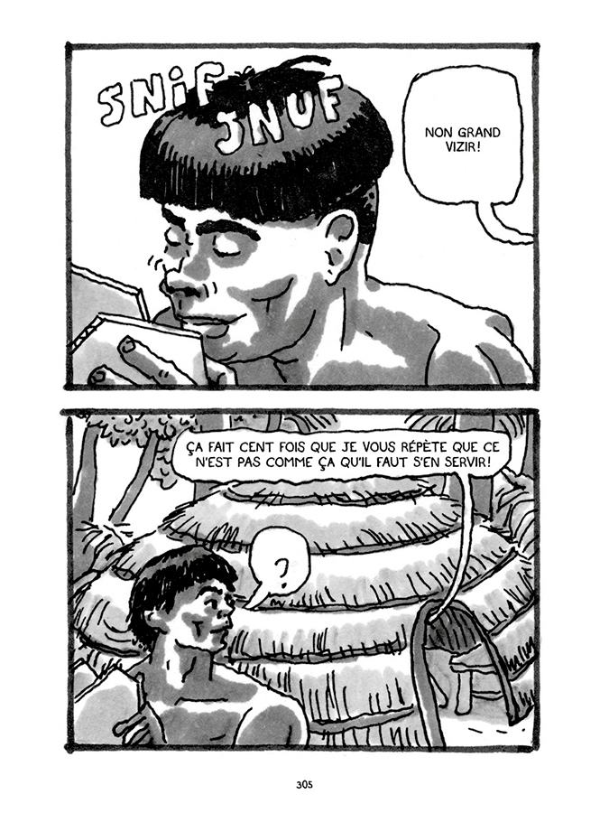 - Pas tristes tropiques- page 291