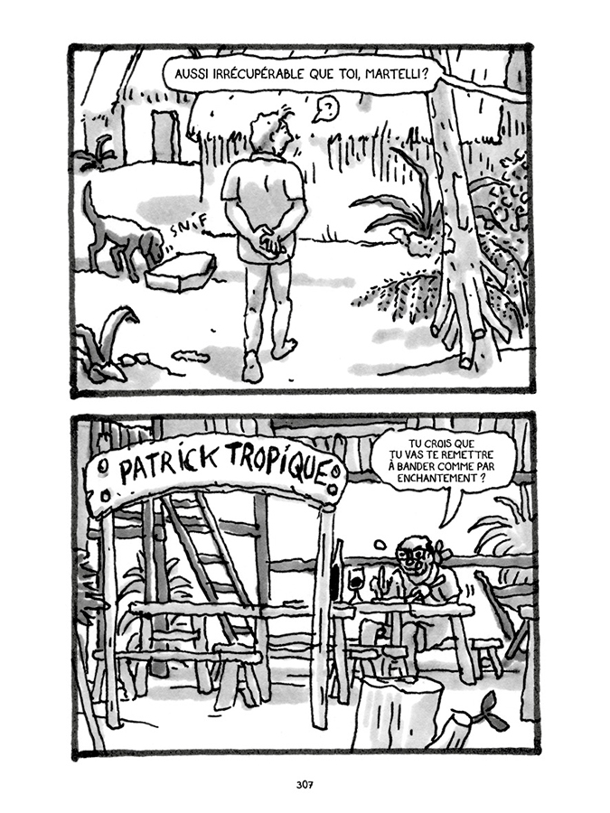 - Pas tristes tropiques- page 293
