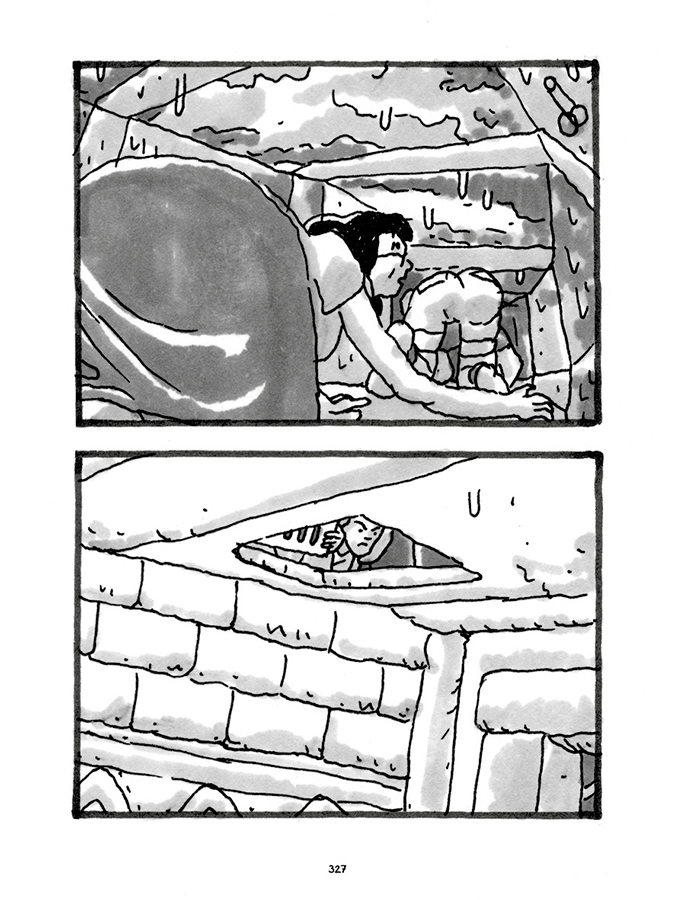 - Pas tristes tropiques- page 312