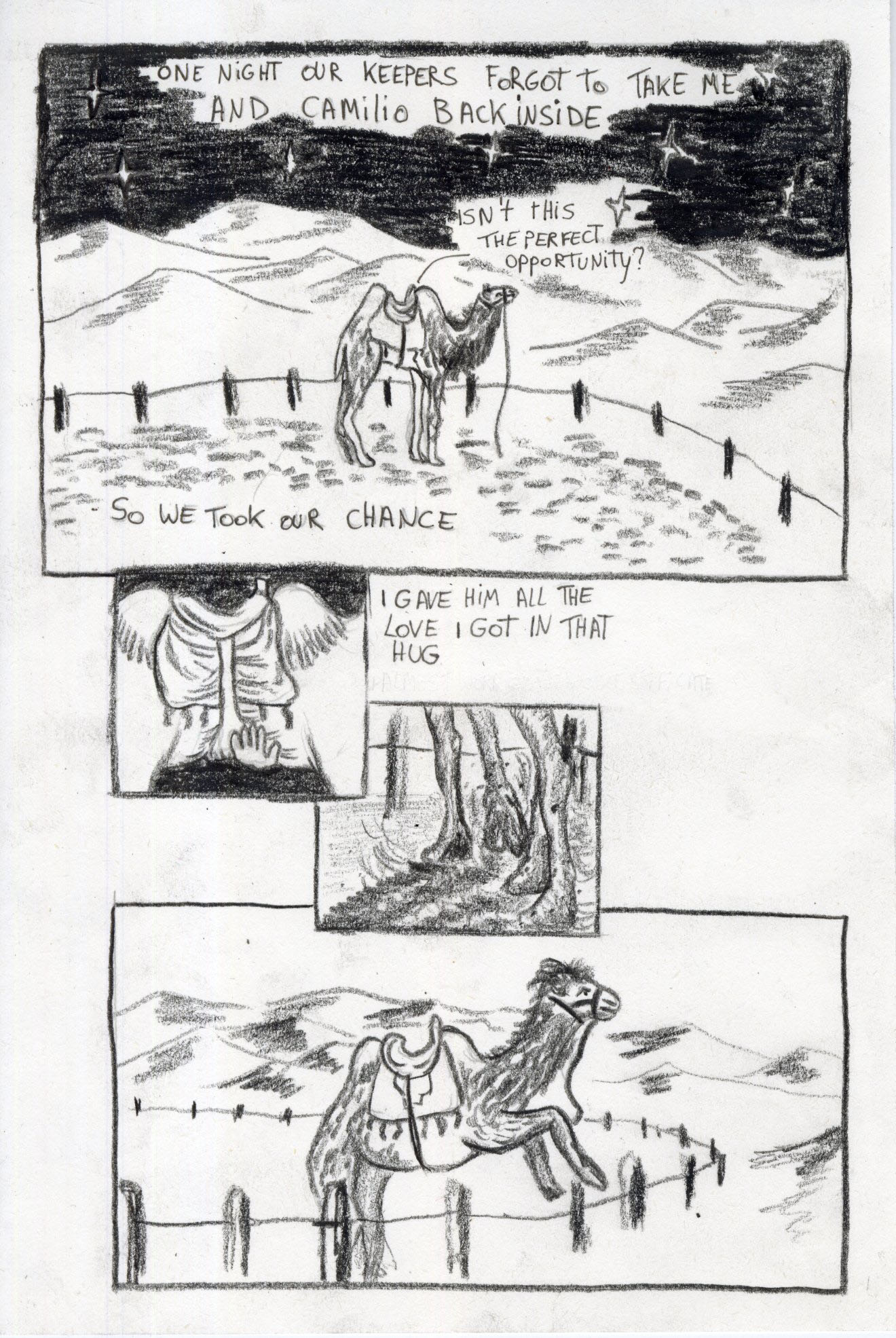 - Sad-dle- page 7