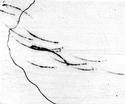 - noir à la noix- page 1