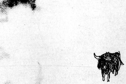 - noir à la noix- page 6