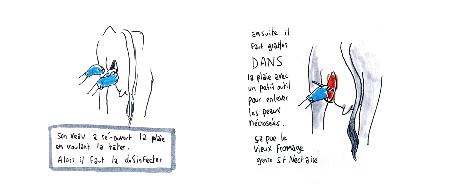 - Paysans 1 semaine- page 2