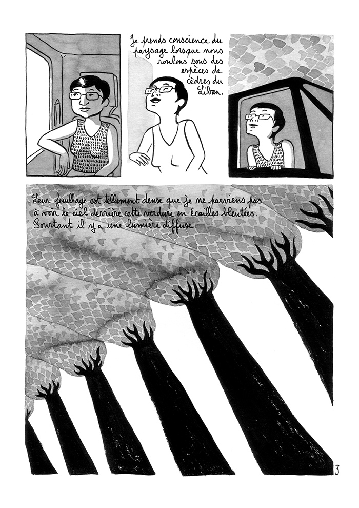 - Voyage en camionnette- page 3