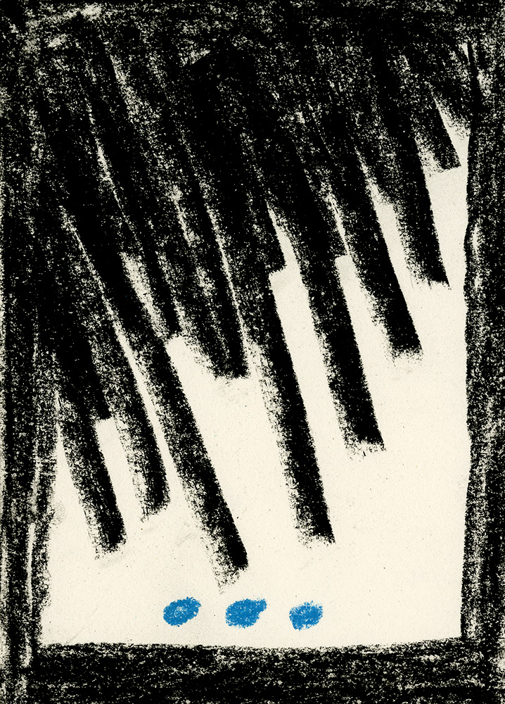 - Voyage mycologique- page 18